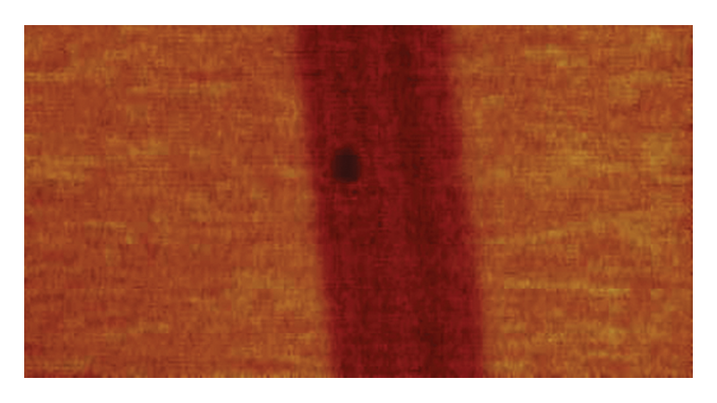 AFM のためのスキャン熱顕微鏡(SThM)モード