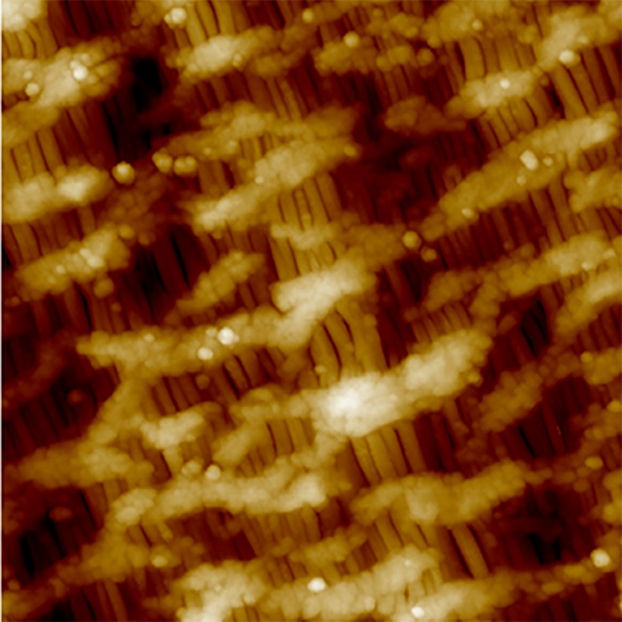 scanasyst-plus-CelGard_HeightSensor_TM