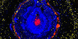 Bruker's M4 TORNADO is a tabletop Micro-XRF spectrometer.