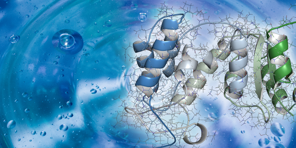 FBDD is now an established key starting point for the discovery of high-quality preclinical candidates.