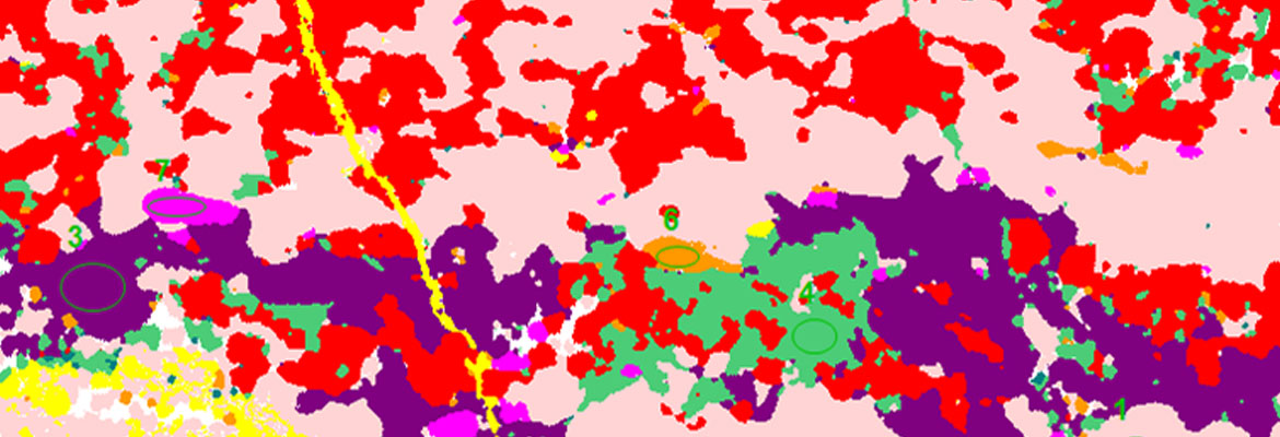 2019_banner_mineral-phases-hypermap_1170x400
