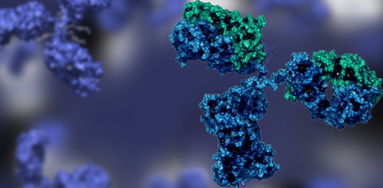 banner-non-imaging-labcast