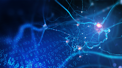 Select "Image is decorative" unless given very specific details as caption