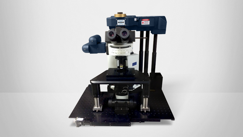 Ultima In Vitro Multiphoton Microscope