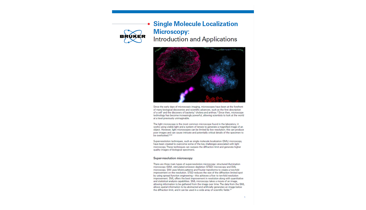 Frame Teaser - Single Molecule Localization