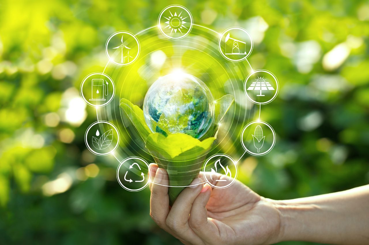 Hand holding light bulb against nature on green leaf with icons energy sources for renewable, sustainable development. Ecology concept. Elements of this image furnished by NASA.