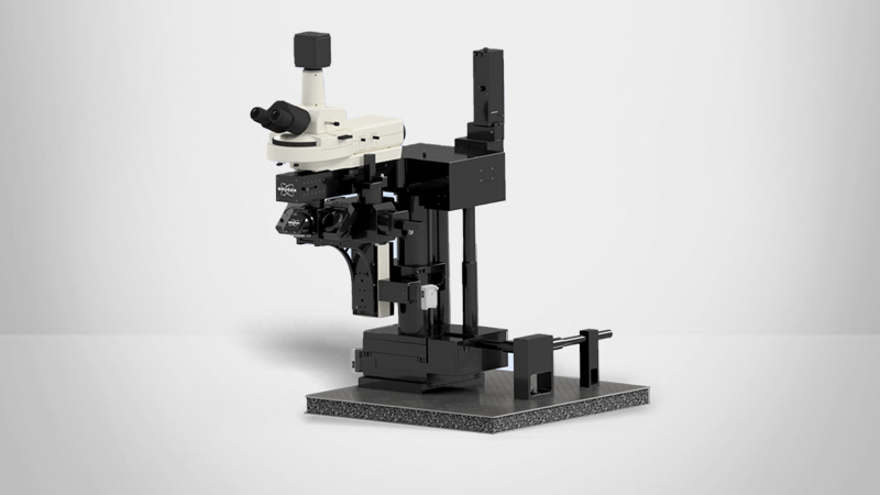 Ultima Investigator Plus Multiphoton Microscope
