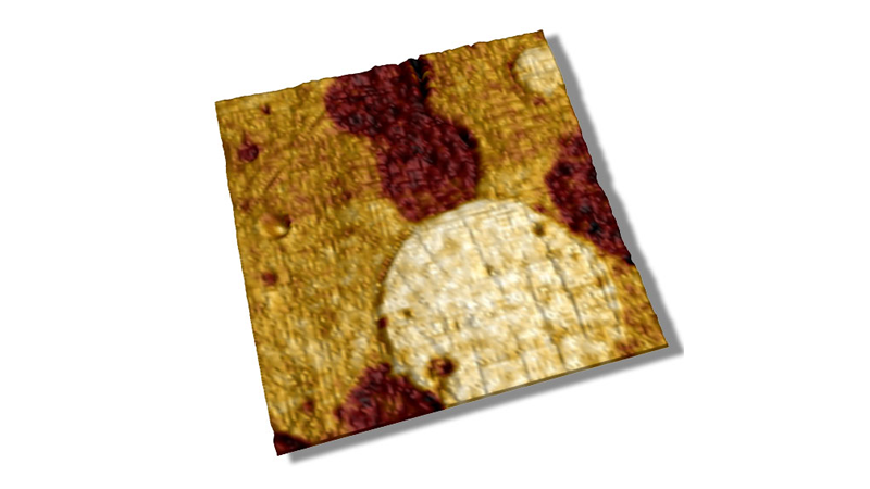 FastForce Volume Mode for AFM