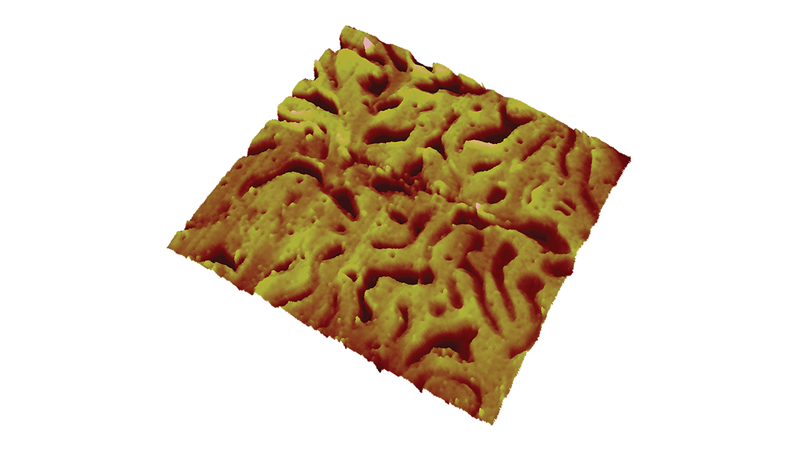 Scanning Electrochemical Potential Microscopy (SECPM) Mode for AFM