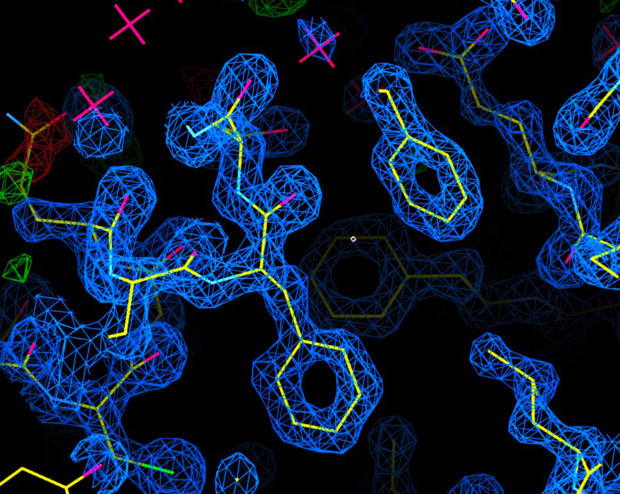 molecular diagram showing atomic backbone and electron cloud of an API created using single-crystal X-ray diffraction data