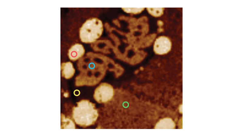 AFM-nDMA Mode for AFM