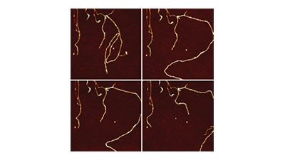 Nanomanipulation- Teaser Image