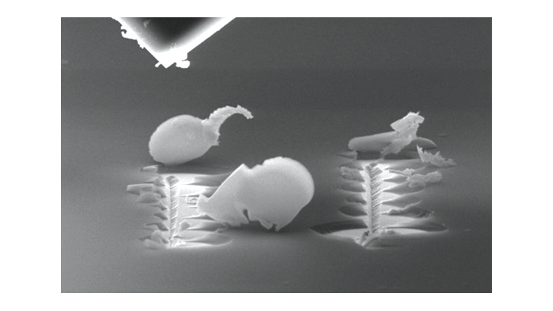 In-Situ nanoScratch