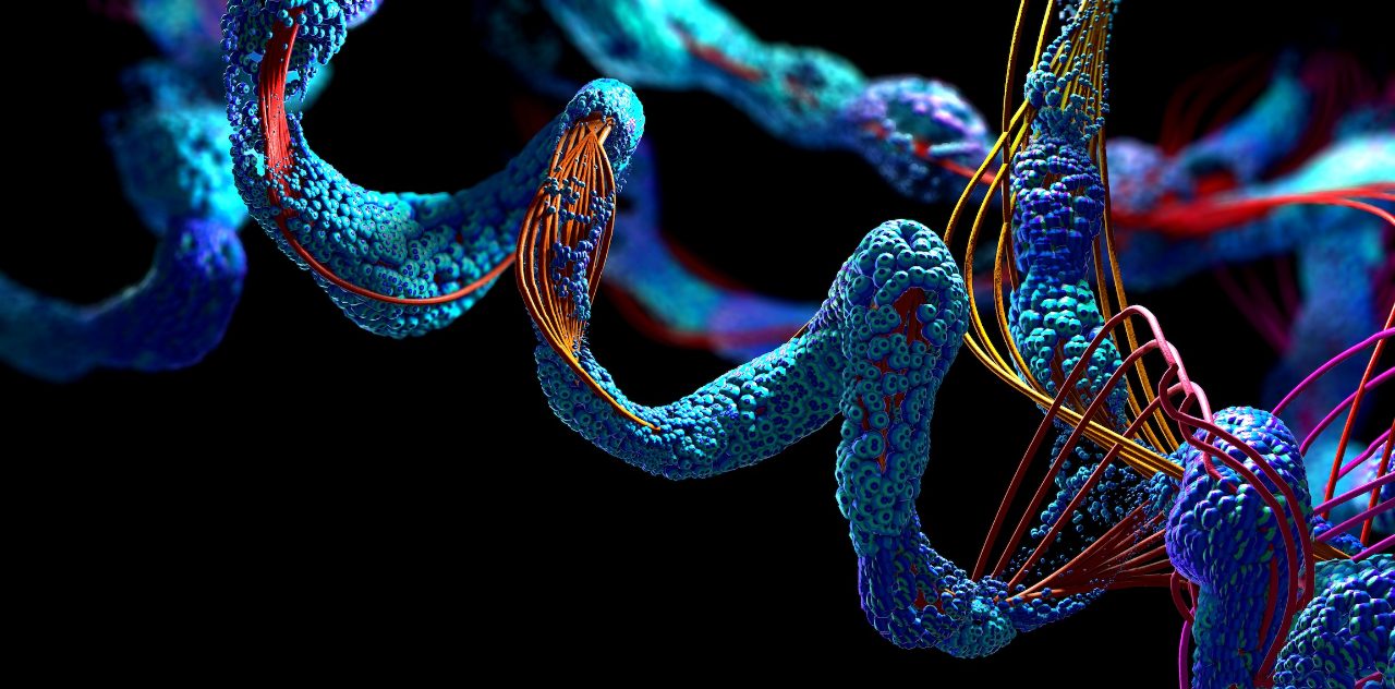Discovery of small molecules that target RNA. NMR is the method of choice.