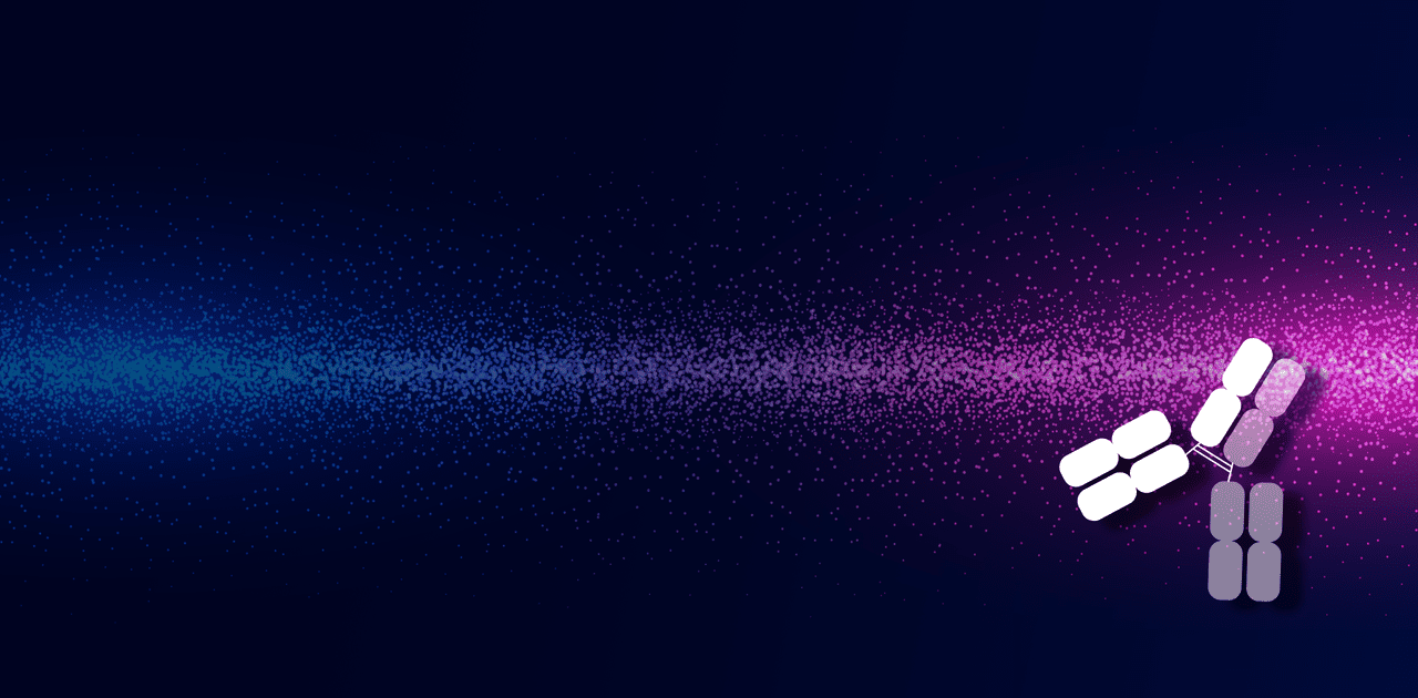 banner-webinar-discover-bispecific-antibodies-generation