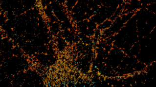 Virology Studies with Vutara VXL