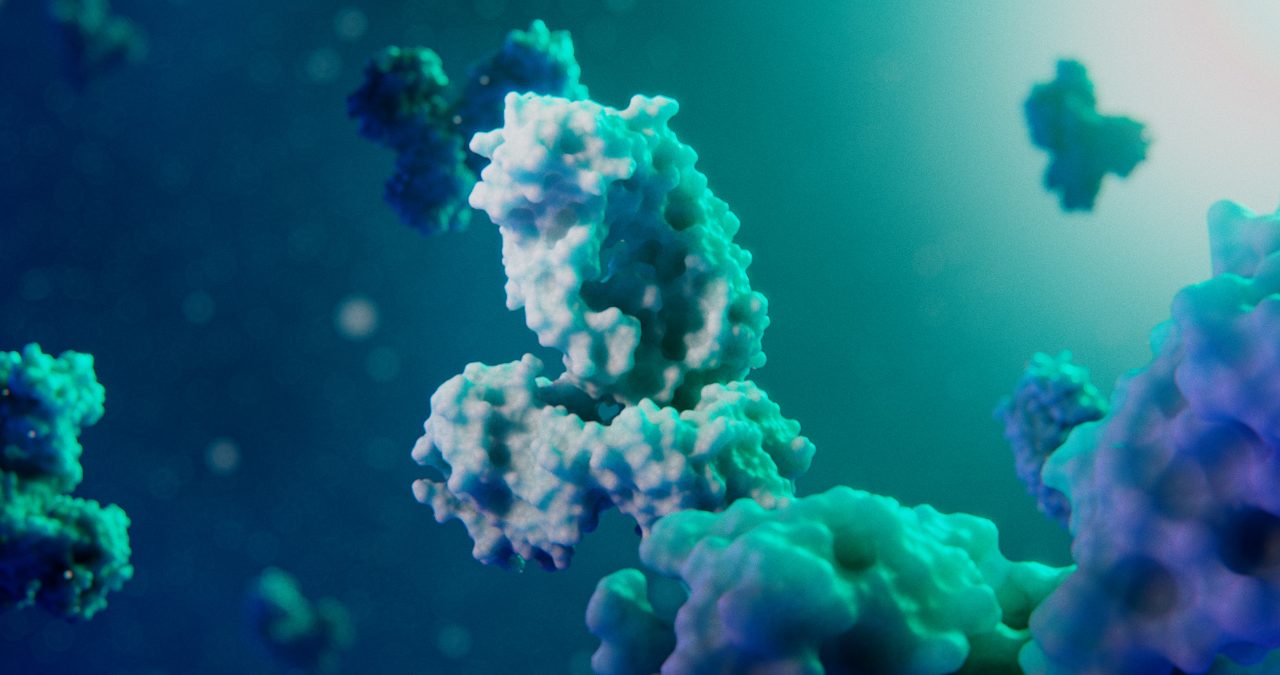 Antibody-look-Bruker