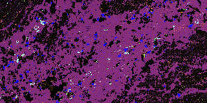 Multiscale in-situ non-destructive micro-XRF scanning analysis