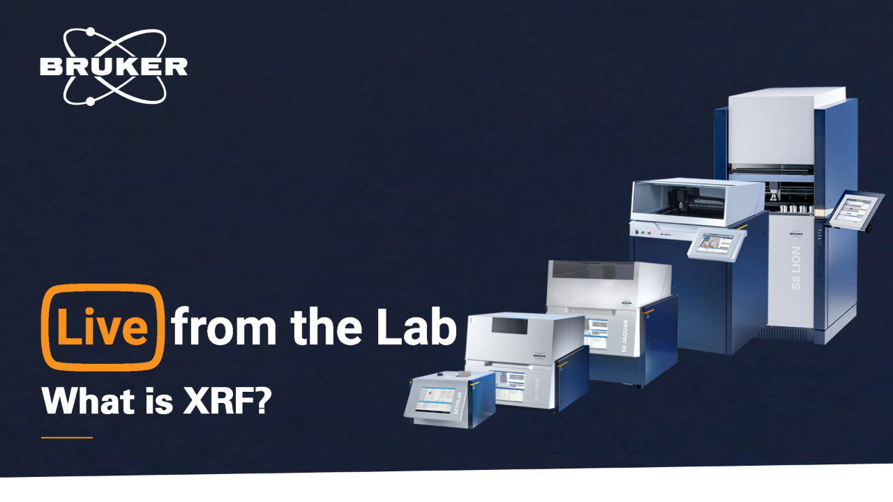 S3 E8: What is XRF?