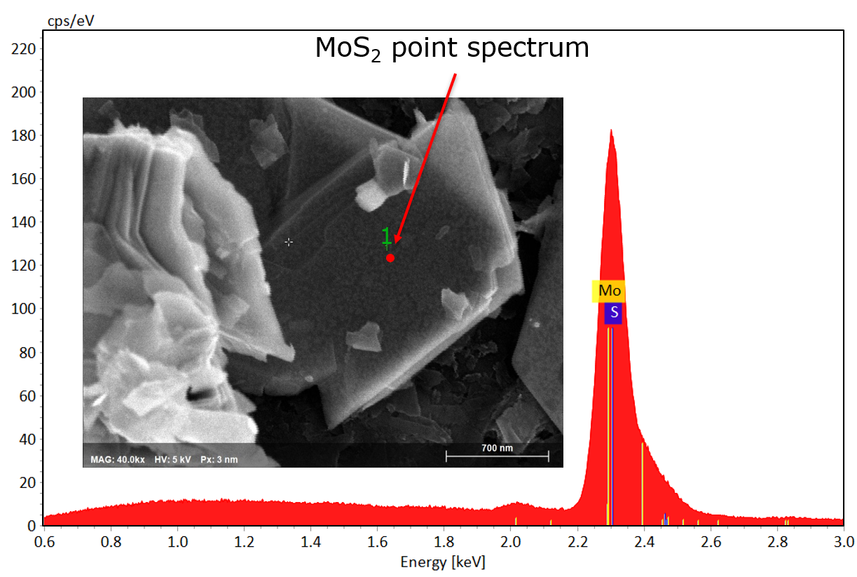 MOS2 的 SEM 图像和点谱