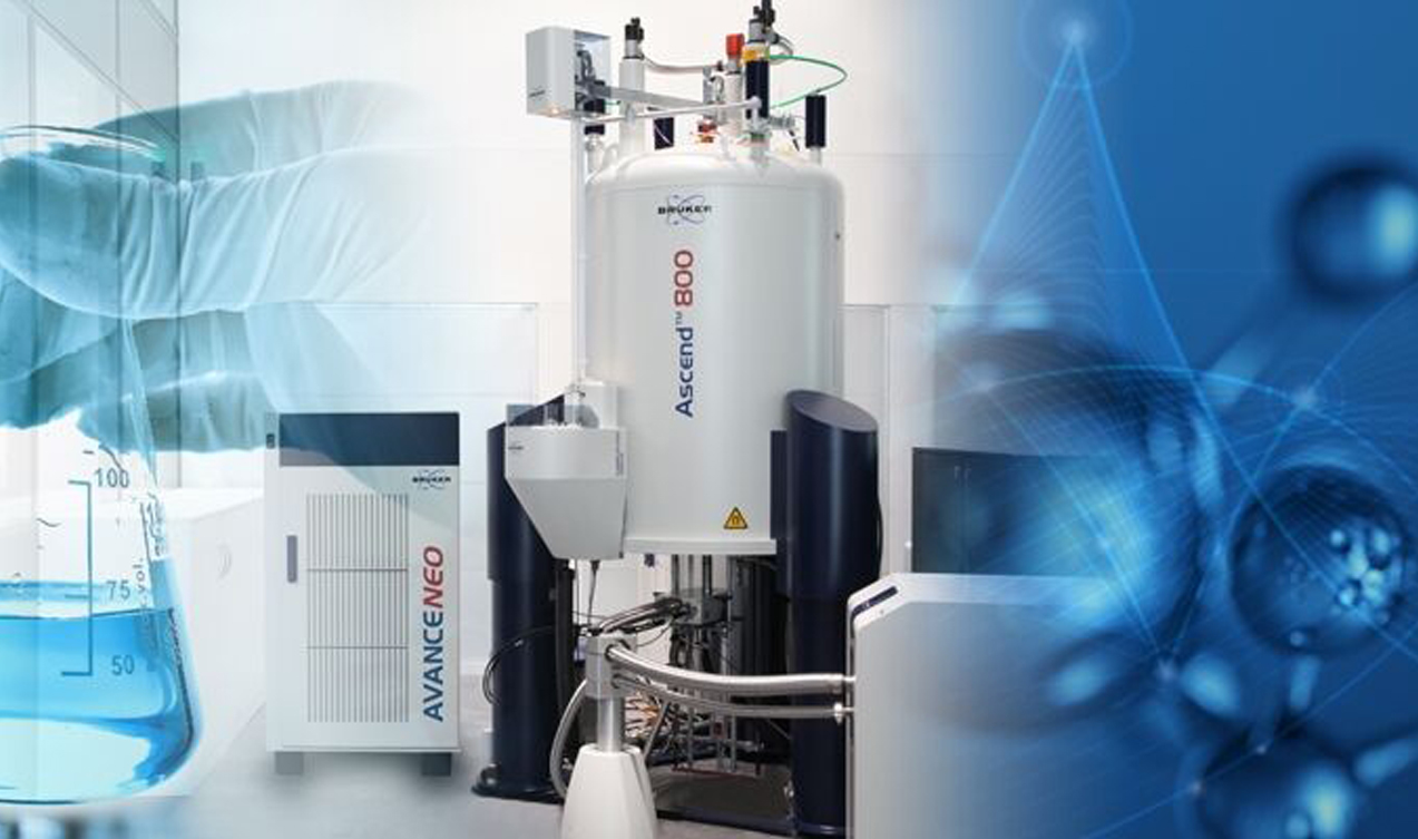 Avance 600-800