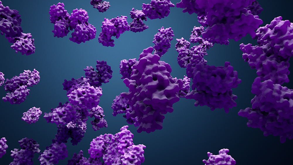 Lead optimization protein