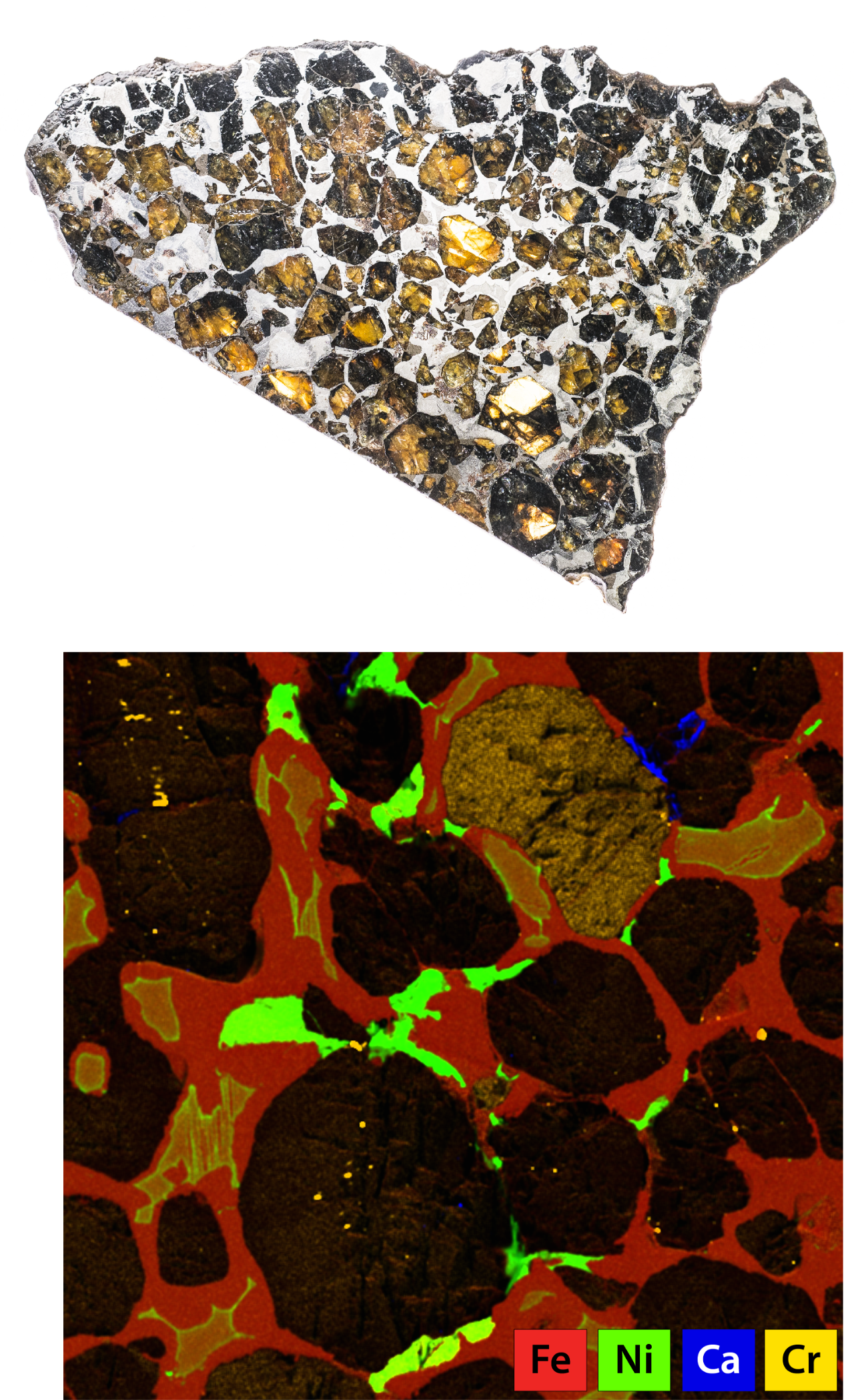 Polished surface of a pallasite