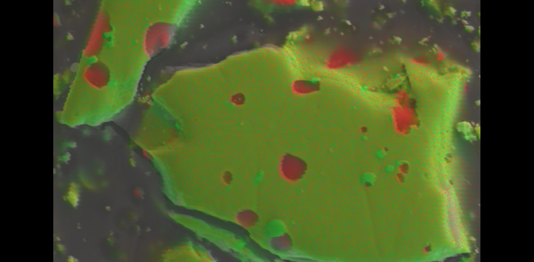 zoom in on elemental map of TaSi2 sample taken using EDS - it looks strikingly similar to the WDS map. 
