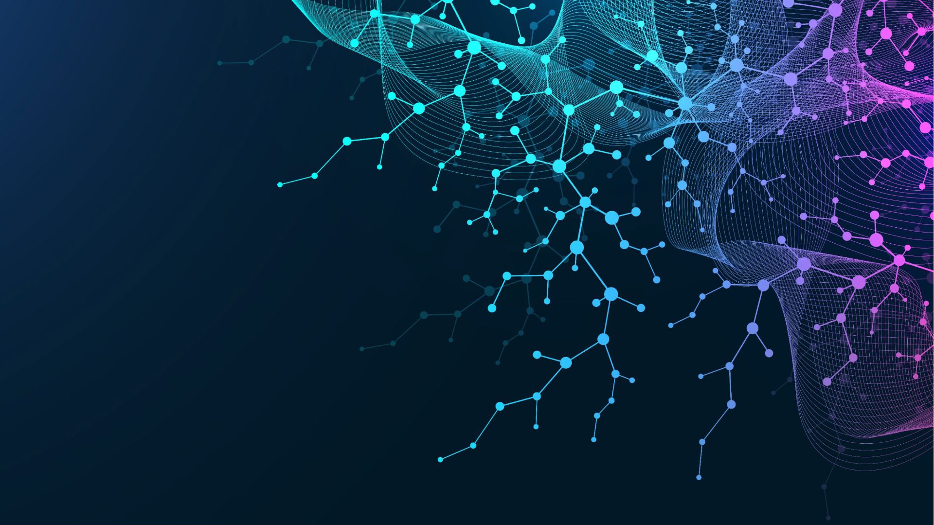 Bruker Optics BeNeLux User Meeting Laakdal 2025