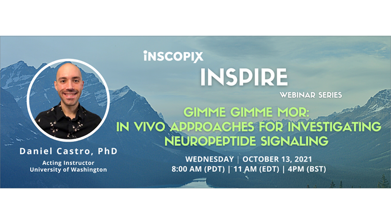 Gimme Gimme MOR: In Vivo Approaches for Investigating Neuropeptide ...