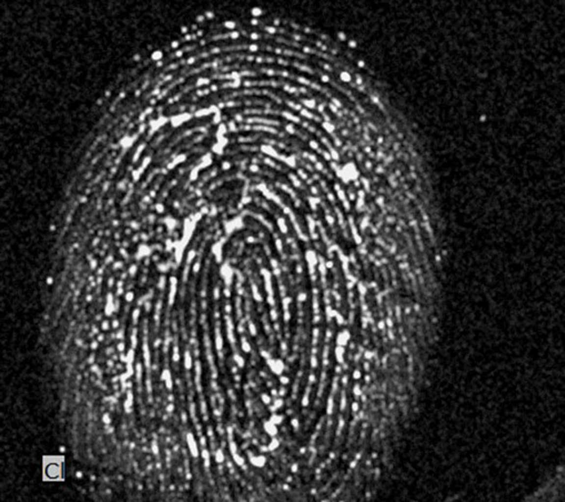 Scan of a fingerprint with the micro-XRF instrument M4 TORNADO