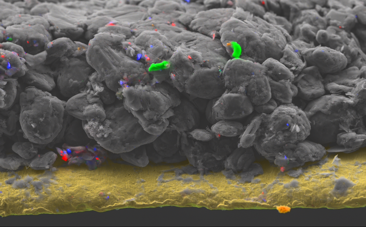 EDS map with SE image overlay of a cathode sample cut in cross section.