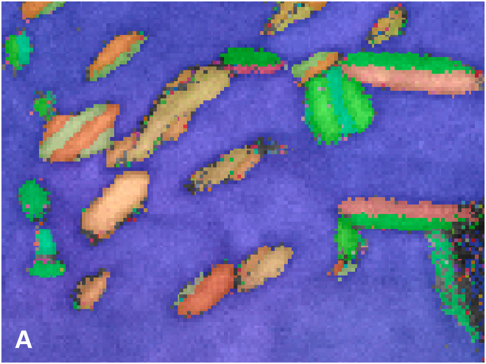Detail des Orientierungs-Maps (Ausschnitt A, ohne Datenbereinigung) mit 6 bis 9 nm großen rekristallisierten Zwillingsdomänen in kubisch flächenzentrierten Kristallen.