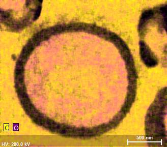 Überlagerte Elementverteilung von Kohlenstoff (C) und Sauerstoff (O)