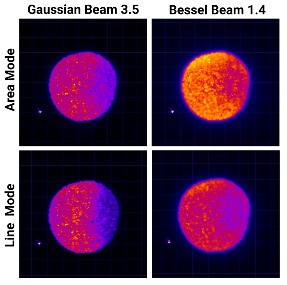 In this example of organoid imaging, all four Gaussian beam, Bessel beam, area and line modes are compared, illustrating different penetration depths.