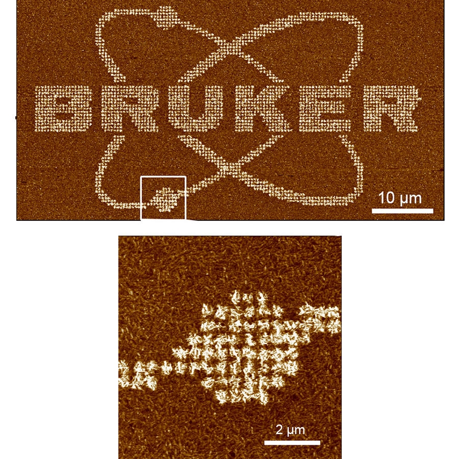 AFM piezoresponse force microscopy images of ferroeletric copolymer