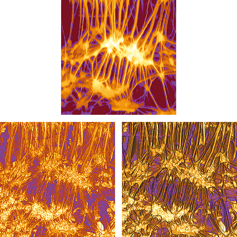 AFM images of PTFE/Teflon