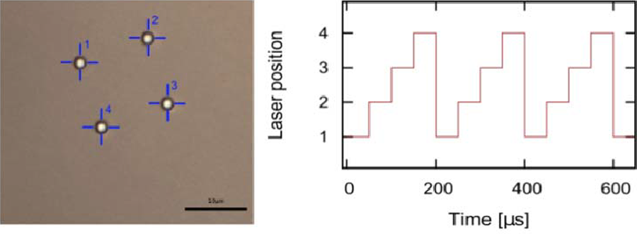 Four polystyrene beads held in laser traps using time-shared laser switching.