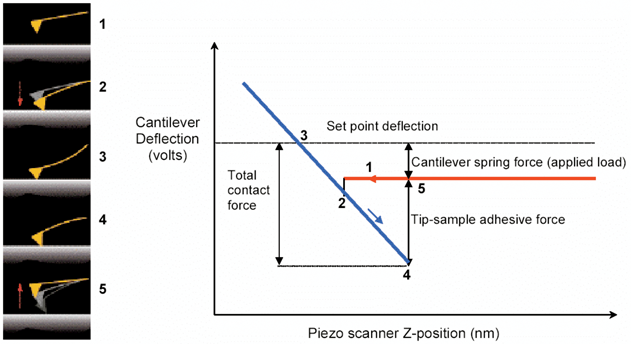 Force distance curve. The approach (red) and withdraw (blue) curves are shown on the right. Note that the total contact force is dependent on the adhesion as well as the applied load.