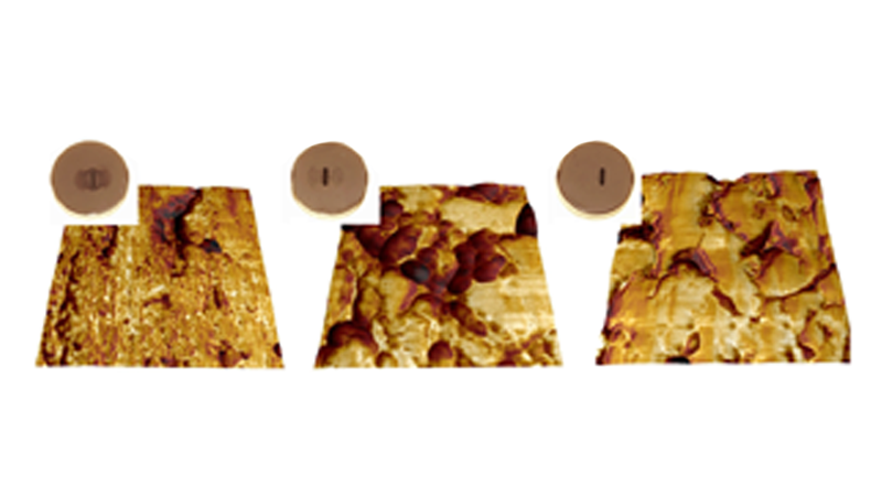 Three different tribofilms subjected to wear with a visible wear scar in the center of each. The AFM images are from a 2um scan area near the center of each scar.