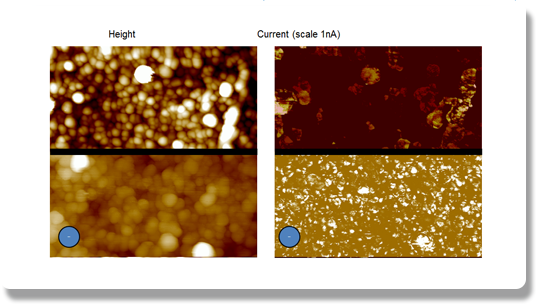 Dimension FastScan AFM - Current Imaging on Carbon Nanotubes