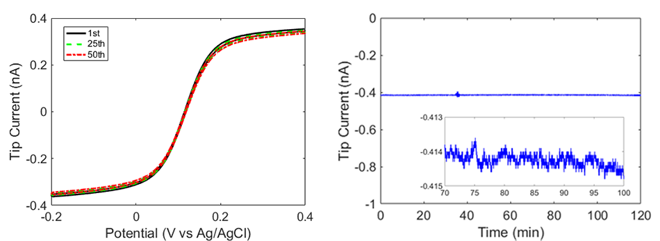 Cyclic voltammograms from 50 scans and 2-hour amperometric test at -0.1 V in 5 mM [Fe(CN)6]4-/3- and 0.1 M KNO3 solution.