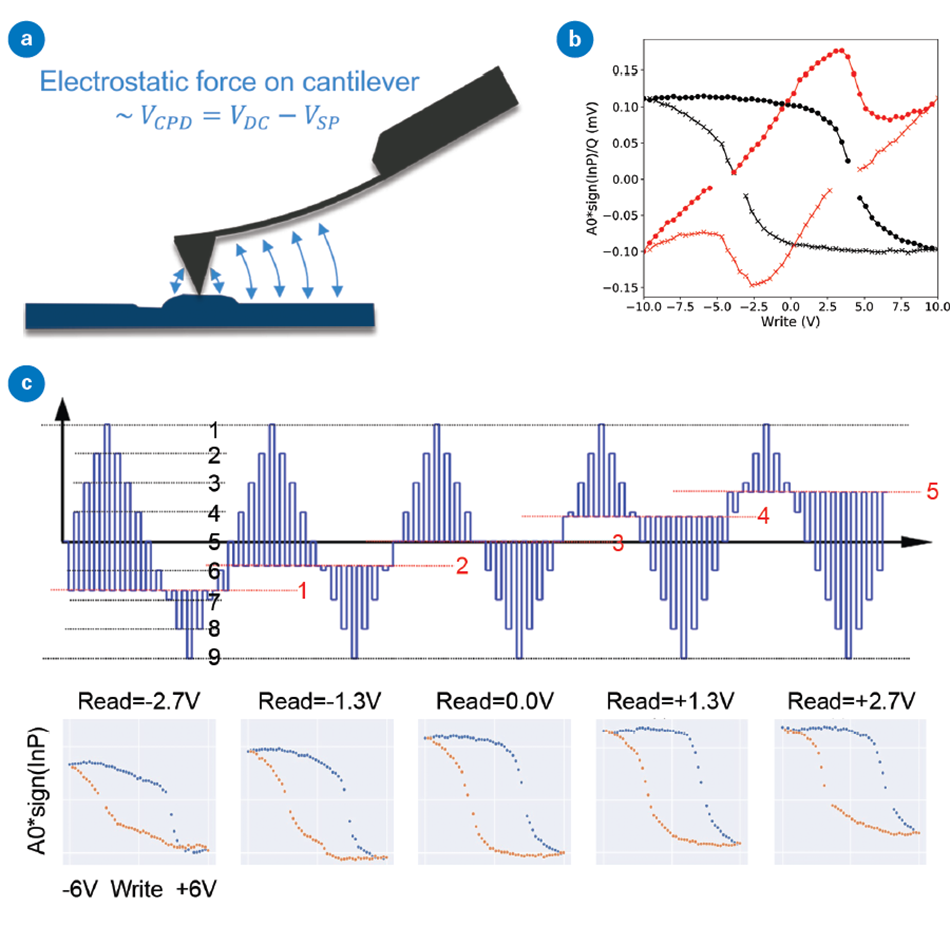 Diagram illustrating the influence of electrostatics on the PFM response. The first sub-image (a) shows the electrostatic force on the cantilever, which is proportional to the contact potential difference or the difference between the applied voltage (VDC) and the surface potential (VSP). The second sub-image (b) displays PFM hysteresis loops collected during read segments (black) and write segments (red) that can be used to discriminate between ferroelectric and non-ferroelectric materials. The third sub-image (c) shows SS-PFM hysteresis loops (bottom) collected at different read voltages (top) to directly study the influence of varying contact potential difference on PFM measurements.