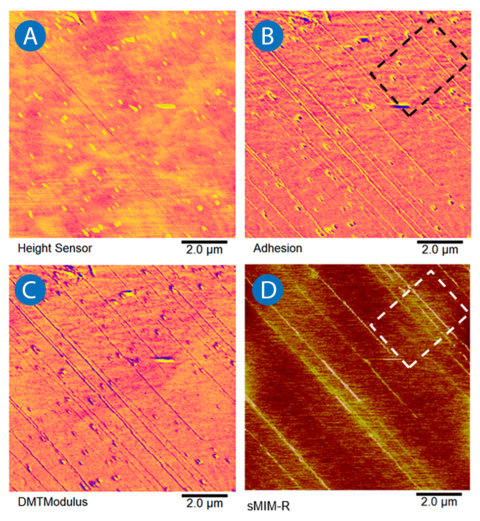 PeakForce sMIM maps of carbon nanotubes on insulating substrate showing topography, adhesion, modulus, and conductivity differences.