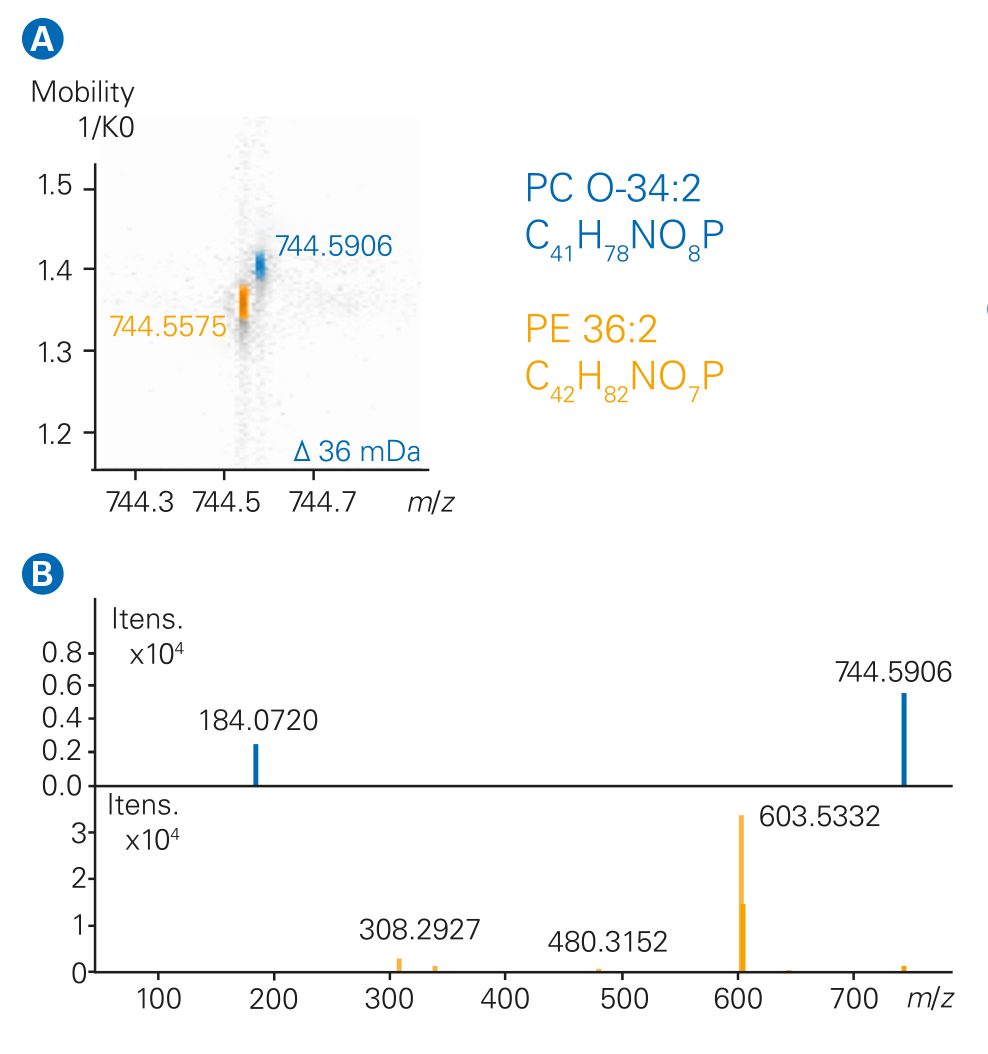 Mobility Offset Mass Aligned (MOMA) data of isobaric lipids (A) Heatmap showing the mobility separation of two isobaric phospholipids co-eluting from reverse phase LC. (B) Clean PASEF® MS/MS spectra after mobility separation. 