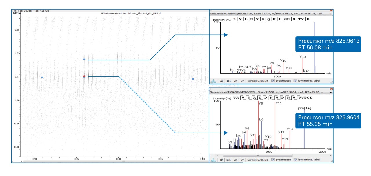 PASEF allows to separate and fragmentation @>100Hz two coeluted peptides which m/z differs only of 0,9 mDa. Without separation from ion mobility dimension, the fragmentation of these two peptides would have resulted in a chimeric MS/MS spectrum.