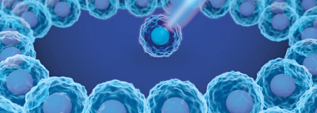 protein quantitation