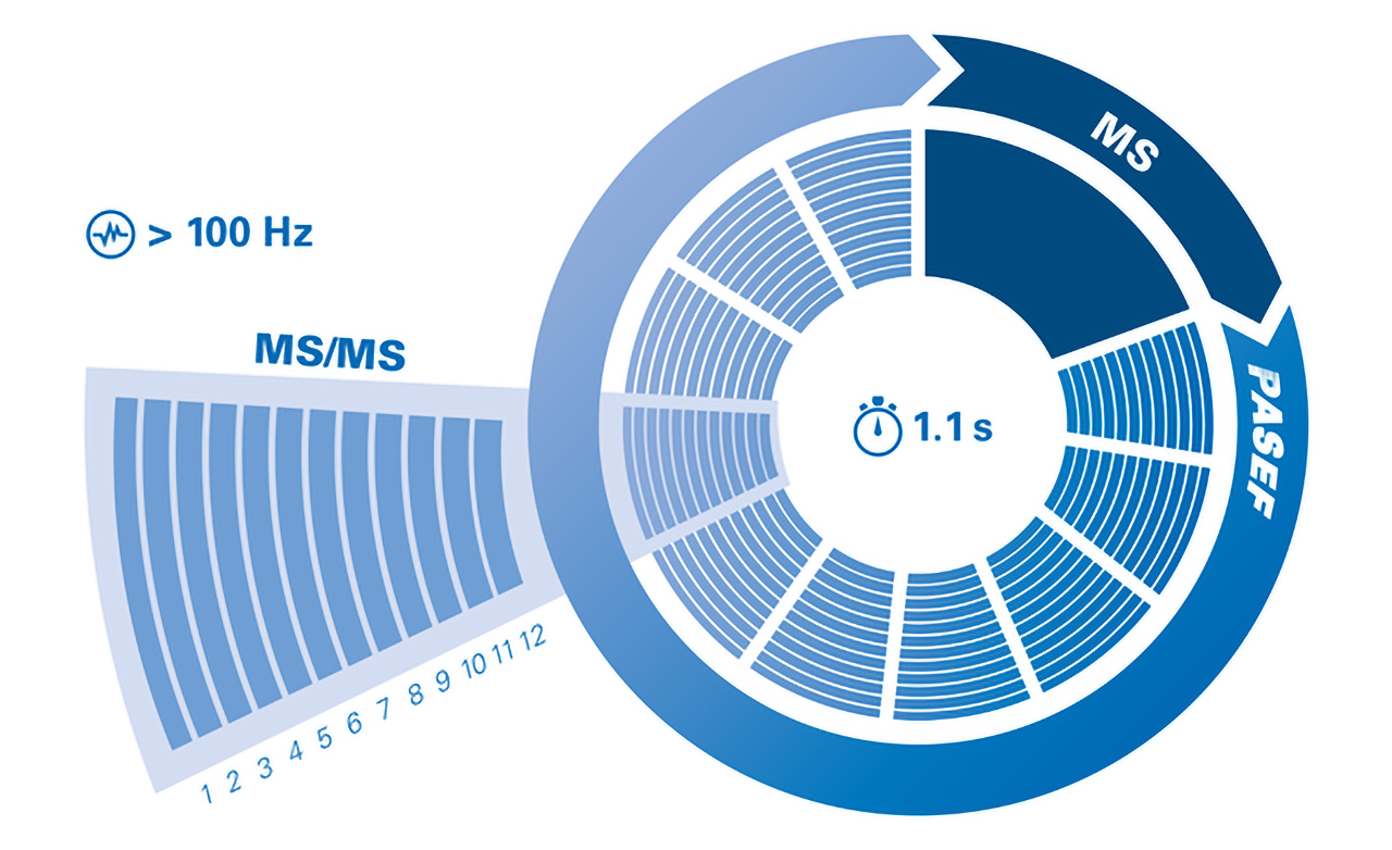 Standard PASEF method: a 1.1 second cycle time containing 10 TIMS separation event. On average, 12 MS/MS are performed in each TIMS separation event.