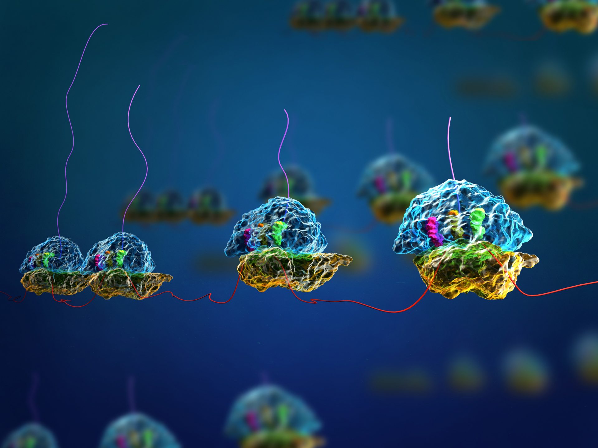 Macromolecular complexes
