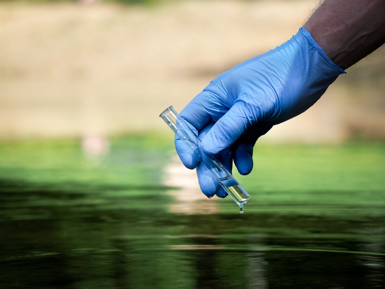 Water Testing Microbiology | Bruker